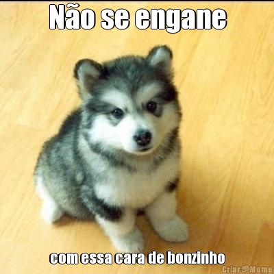 N�o se engane com essa cara de bonzinho