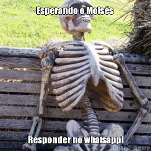 Esperando o Mois�s  Responder no whatsapp!