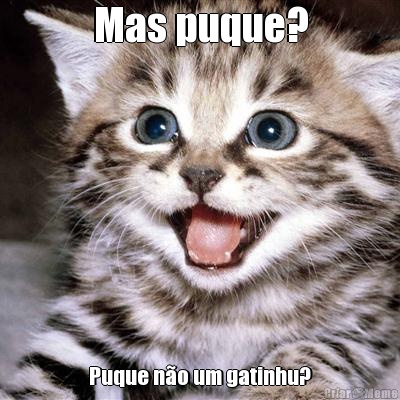 Mas puque? Puque n�o um gatinhu?