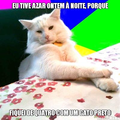 EU TIVE AZAR ONTEM � NOITE, PORQUE FIQUEI DE QUATRO COM UM GATO PRETO