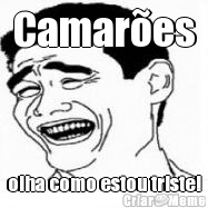Camar�es olha como estou triste!