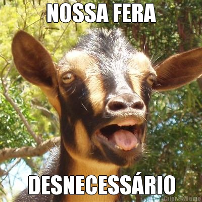 NOSSA FERA DESNECESS�RIO