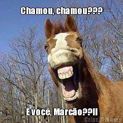 Chamou, chamou??? � voc�, Marc�o??!!
