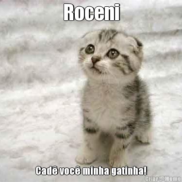 Roceni Cad� voc� minha gatinha!