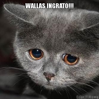 WALLAS INGRATO!!! 