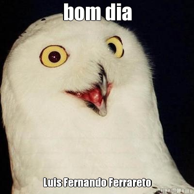 bom dia Luis Fernando Ferrareto
