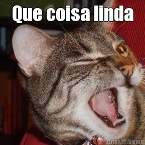 Que coisa linda 