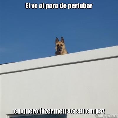 Ei vc ai para de pertubar eu quero fazer meu secsu em paz