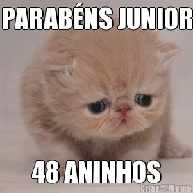 PARAB�NS JUNIOR 48 ANINHOS