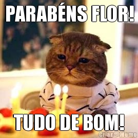 PARAB�NS FLOR! TUDO DE BOM!