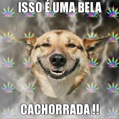 ISSO � UMA BELA CACHORRADA !!