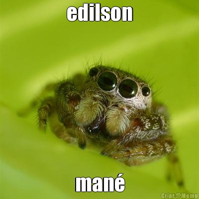 edilson man�