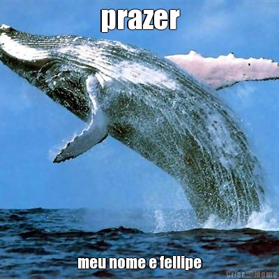 prazer meu nome e fellipe