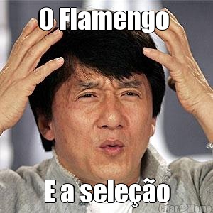 O Flamengo  E a sele��o