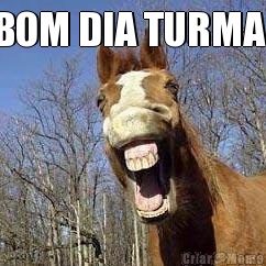 BOM DIA TURMA! 