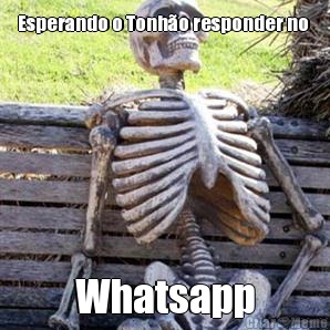 Esperando o Tonh�o responder no  Whatsapp