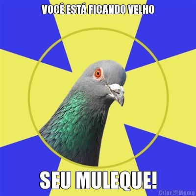 VOC� EST� FICANDO VELHO SEU MULEQUE!