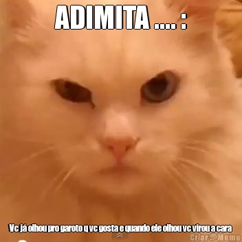 ADIMITA .... : Vc j� olhou pro garoto q vc gosta e quando ele olhou vc virou a cara