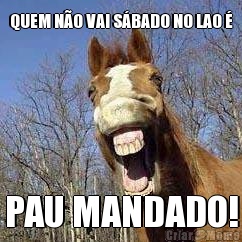 QUEM N�O VAI S�BADO NO LAO � PAU MANDADO!