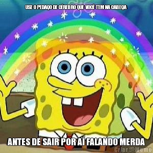 USE O PEDA�O DE C�REBRO QUE VOC� TEM NA CABE�A ANTES DE SAIR POR A� FALANDO MERDA