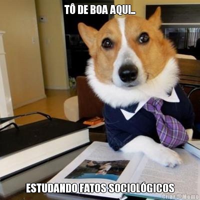 T� DE BOA AQUI... ESTUDANDO FATOS SOCIOL�GICOS