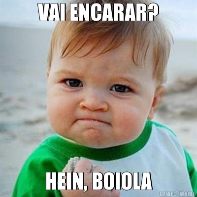 VAI ENCARAR? HEIN, BOIOLA