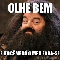 OLHE BEM E VOC� VER� O MEU FODA-SE