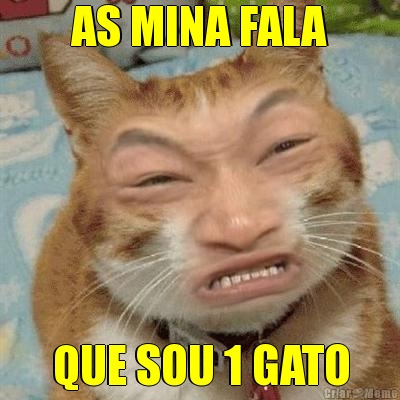 AS MINA FALA QUE SOU 1 GATO