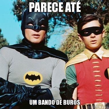 PARECE AT� UM BANDO DE BUROS