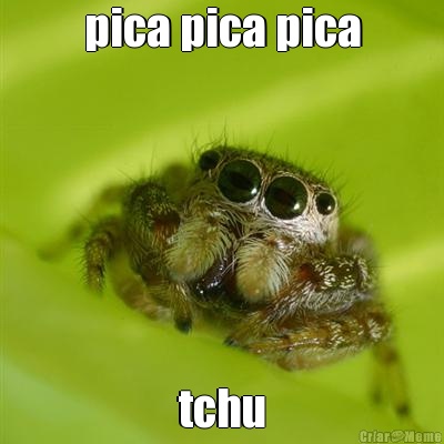 pica pica pica tchu