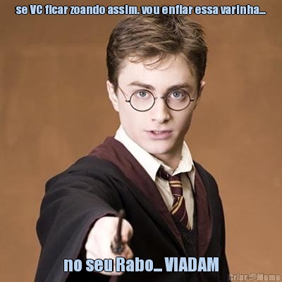 se VC ficar zoando assim. vou enfiar essa varinha... no seu Rabo... VIADAM