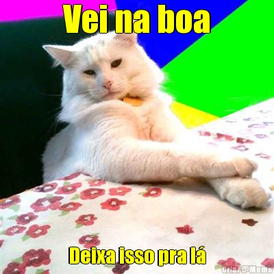 Vei na boa Deixa isso pra l�