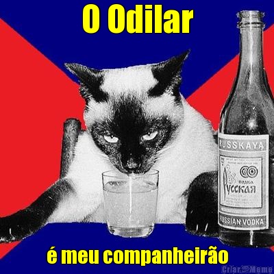 O Odilar � meu companheir�o