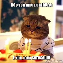 N�o sou uma gata idosa E sim, uma GATOSA!!!!!