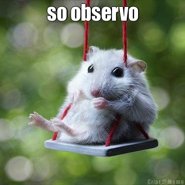 so observo 