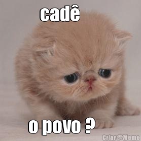 cad�       o povo ?     