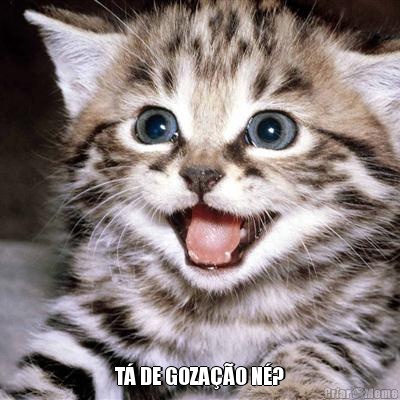  T� DE GOZA��O N�?