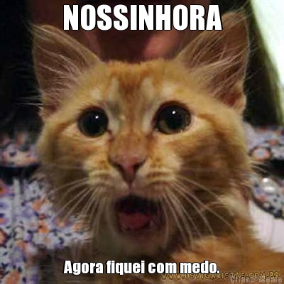 NOSSINHORA Agora fiquei com medo.