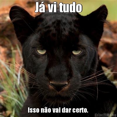 J� vi tudo Isso n�o vai dar certo. 