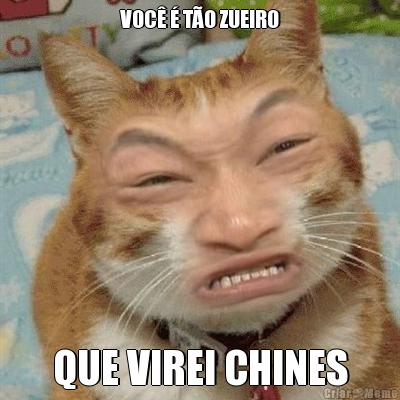 VOC� � T�O ZUEIRO QUE VIREI CHINES