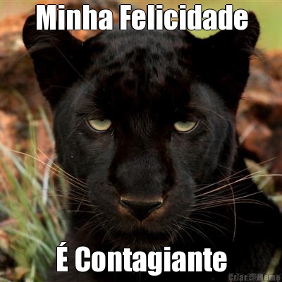 Minha Felicidade � Contagiante