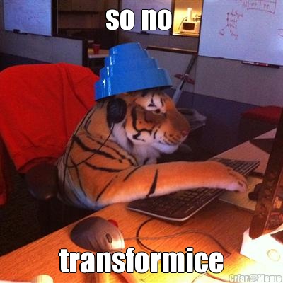 so no  transformice