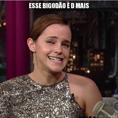 ESSE BIGOD�O � D MAIS 