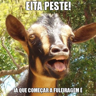 EITA PESTE! J� QUE COME�AR A FULEIRAGEM �