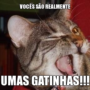 VOC�S S�O REALMENTE UMAS GATINHAS!!!