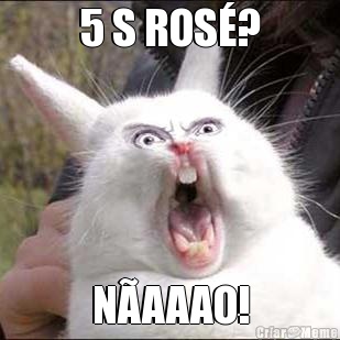 5 S ROS�? N�AAAO!