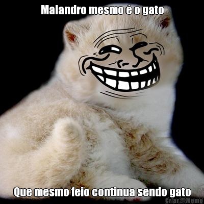 Malandro mesmo � o gato Que mesmo feio continua sendo gato
