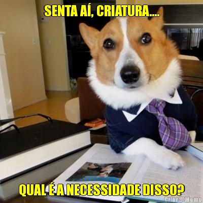 SENTA A�, CRIATURA.... QUAL � A NECESSIDADE DISSO?