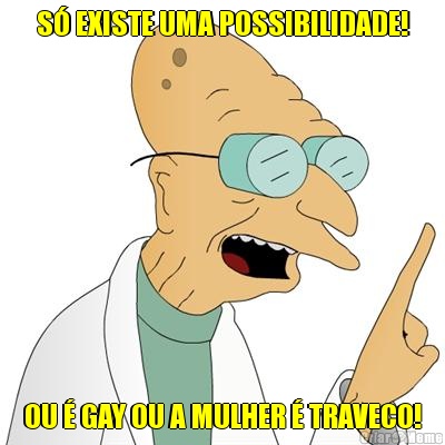 S� EXISTE UMA POSSIBILIDADE! OU � GAY OU A MULHER � TRAVECO!