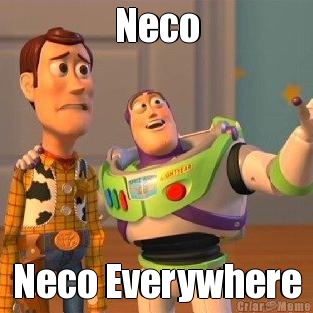 Neco Neco Everywhere